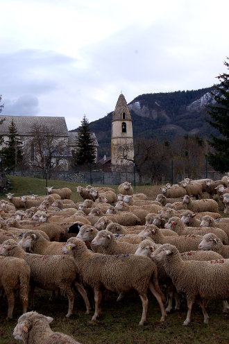 Un village, une tour, et beaucoup de moutons...
