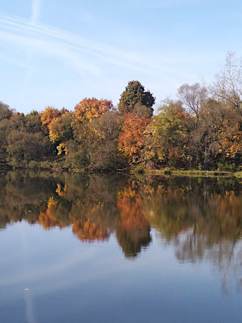 Balade le long du lac