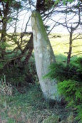 Parc ar Menhir