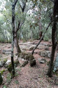 Ancienne carrière de meules